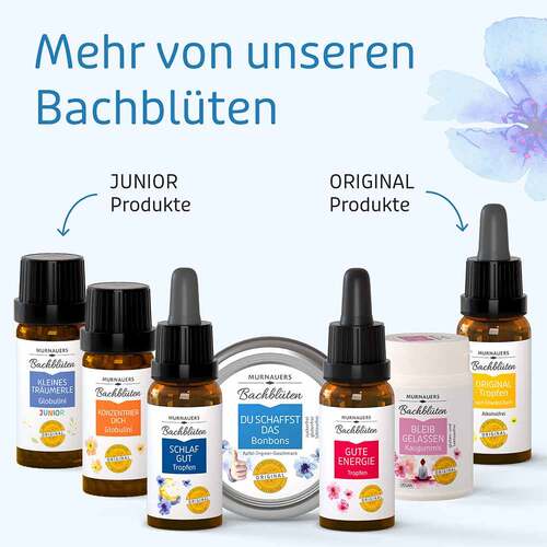 BACHBL&Uuml;TEN Murnauers Du schaffst das Bonbons - 4