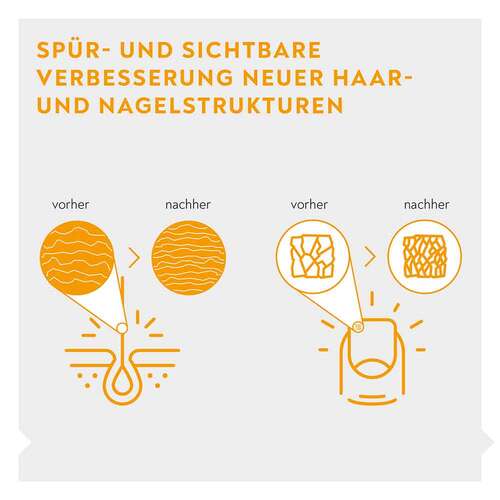 Bio-H-Tin Vitamin H 2,5 mg f&uuml;r 2x12 Wochen Tabletten  - 7
