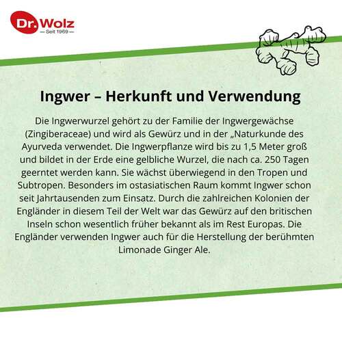 Ingwer Extrakt Dr.Wolz Kapseln - 3