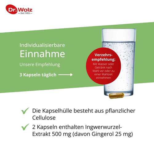 Ingwer Extrakt Dr.Wolz Kapseln - 4