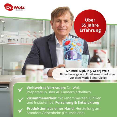 Ingwer Extrakt Dr.Wolz Kapseln - 5