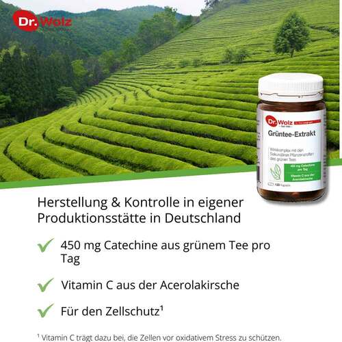 Gr&uuml;ntee Extrakt Dr.Wolz Kapseln - 2