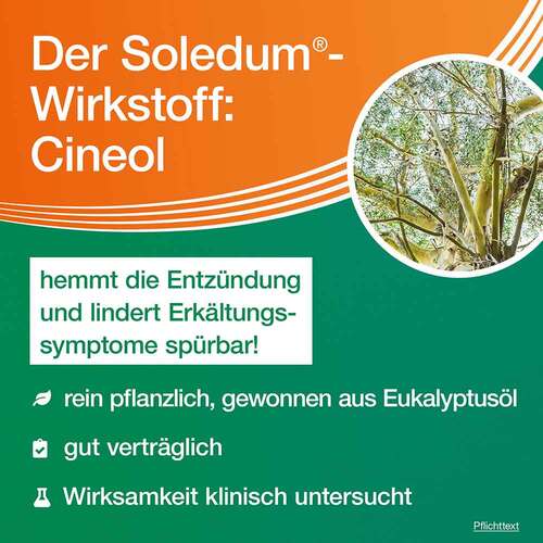 Soledum Kapseln junior 100 mg - 4