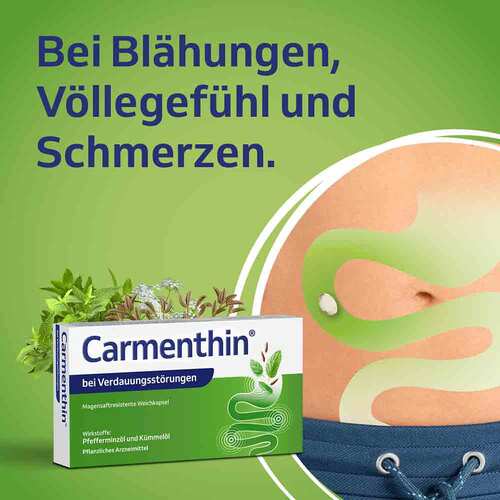Carmenthin bei Verdauungsst&ouml;rungen magensaftresistent Weichkapseln  - 2
