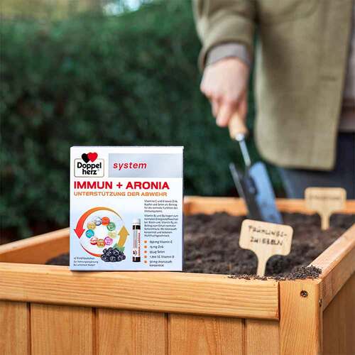 Doppelherz Immun + Aronia system Ampullen - 2