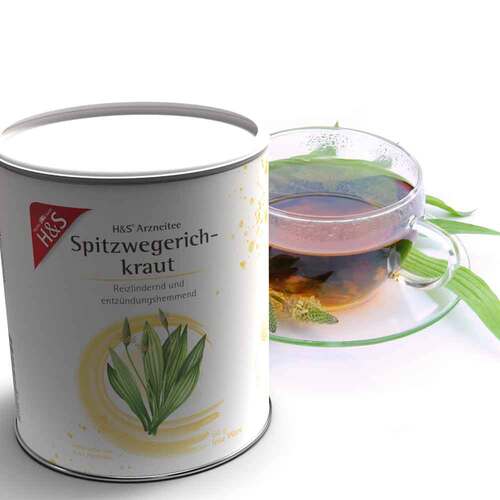 H&S Spitzwegerichkraut lose - 2