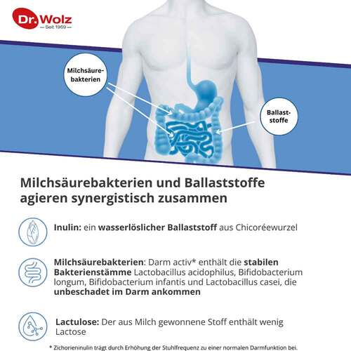 Darm Activ Dr.Wolz Pulver - 4