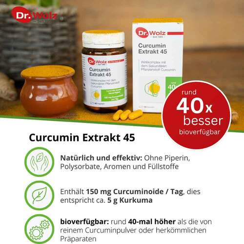 Curcumin Extrakt 45 Dr.Wolz Kapseln - 2