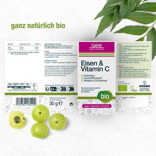 Gse Eisen &amp; Vitamin C Complex Bio Tabletten - 2