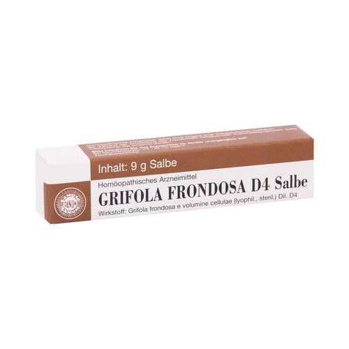 GRIFOLA frondosa D 4 Salbe - 1