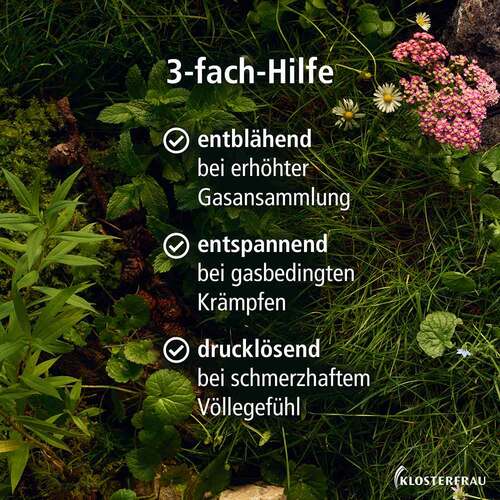 Klosterfrau Magen-Darm Entspannung Kapseln - 3