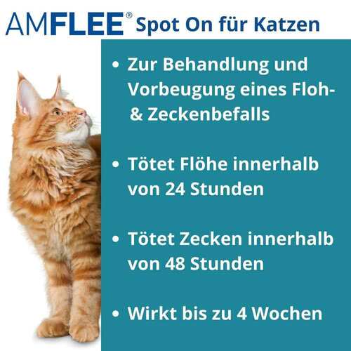 Amflee 50 mg Spot-on L&ouml;sung z.Auftropfen f&uuml;r Katzen - 2