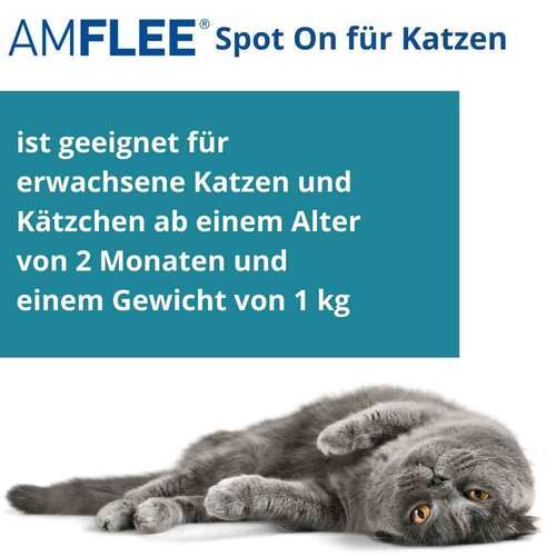 Amflee 50 mg Spot-on L&ouml;sung z.Auftropfen f&uuml;r Katzen - 3