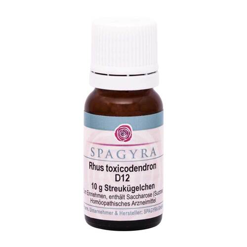 Rhus Toxicodendronicodendron D 12 Globuli - 1