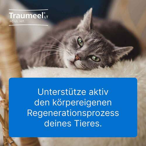 Traumeel LT ad us.vet.Ampullen - 3