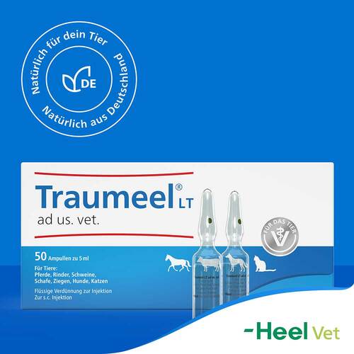 Traumeel LT ad us.vet.Ampullen - 7