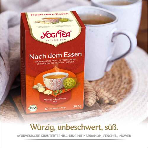 YOGI TEA Nach dem Essen Bio Filterbeutel - 2