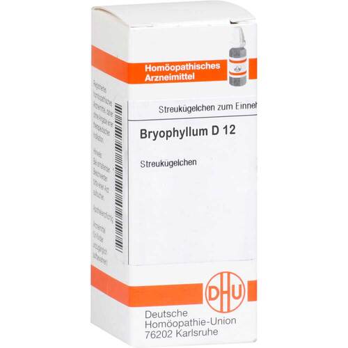 BRYOPHYLLUM D 12 Globuli - 1