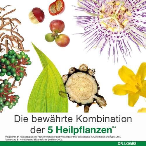Dystologes Tabletten - 5