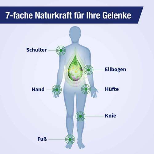 Gelencium Mischung - 2