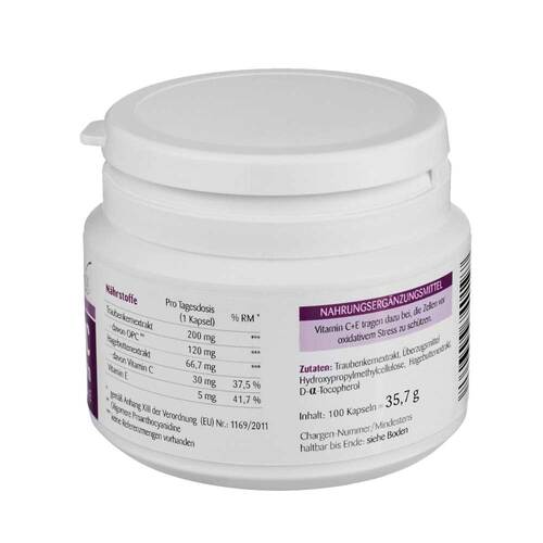 Opc Traubenkern vegan Kapseln - 3