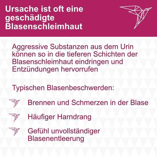 Instylan 0,16% Sp&uuml;ll&ouml;sung - 3