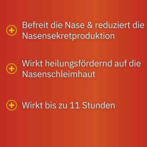 Septanasal 1 mg / ml +   50 mg/ml Nasenspray - 3