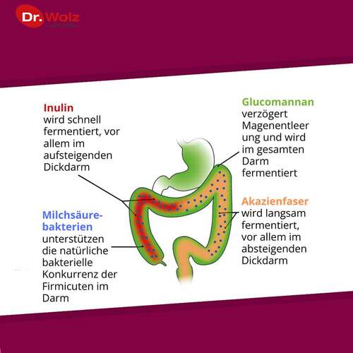 Probiocolon Gewichtsreduktion Dr.Wolz Pulver - 3