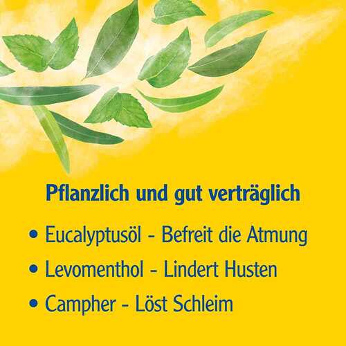 Pinimenthol Erk&auml;ltungsbad ab 12 Jahre - 3