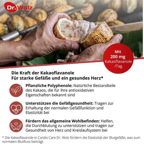 Cardio Care Dr.Wolz Kapseln - 4