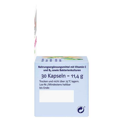Doppelherz Pro Lacto Balance system Kapseln - 2