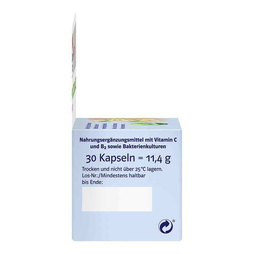 Doppelherz Pro Lacto Balance system Kapseln - 5