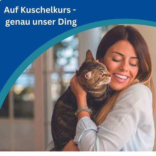 Amflee combo 50 / 60mg L&ouml;sung z.Auftropfen f&uuml;r Katzen - 2