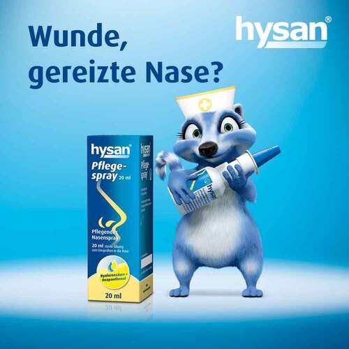 Hysan Pflegespray - 6