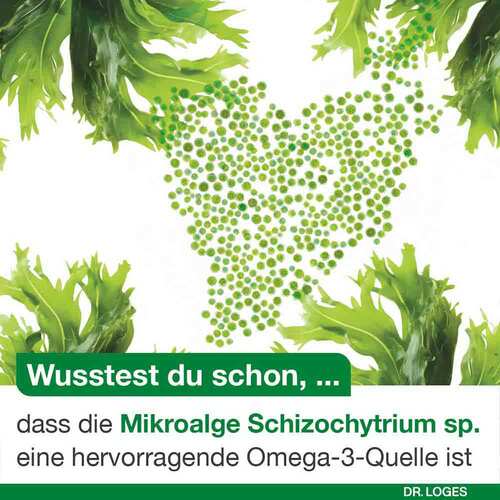 OMEGA3-Loges pflanzlich Kapseln - 2