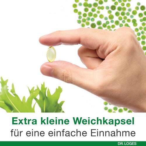 OMEGA3-Loges pflanzlich Kapseln - 6