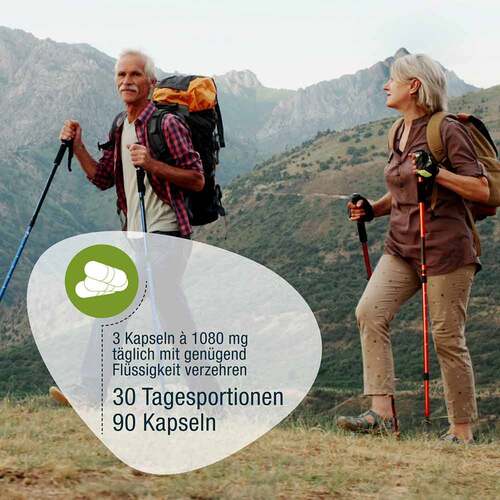 Gse Bio Omega-3 Fisch&ouml;l Kapseln - 3