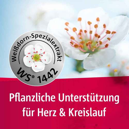 Crataegutt 450 mg Herz-Kreislauf-Tabletten - 4