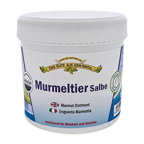 Murmeltier Salbe im Tiegel - 1