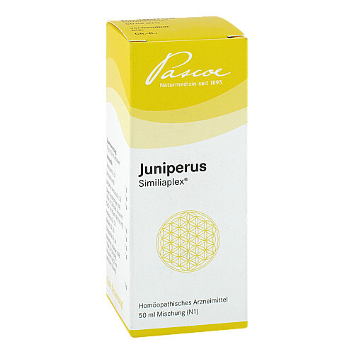 JUNIPERUS SIMILIAPLEX Mischung - 1