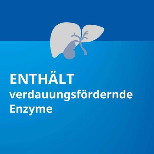 Pankreatin Stada 20.000 magensaftresistent Hartkapseln - 4