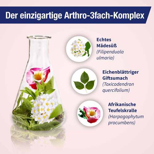 Gelencium arthro Mischung - 3