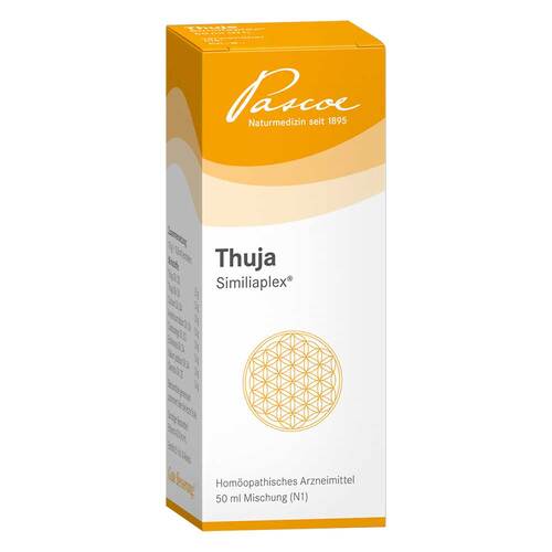 THUJA SIMILIAPLEX Mischung - 1