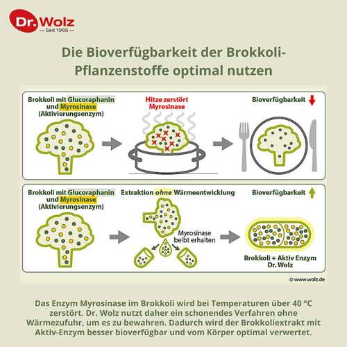 Brokkoli Extrakt + Aktiv-Enzym Dr.Wolz magensaftresistent Kapseln  - 4