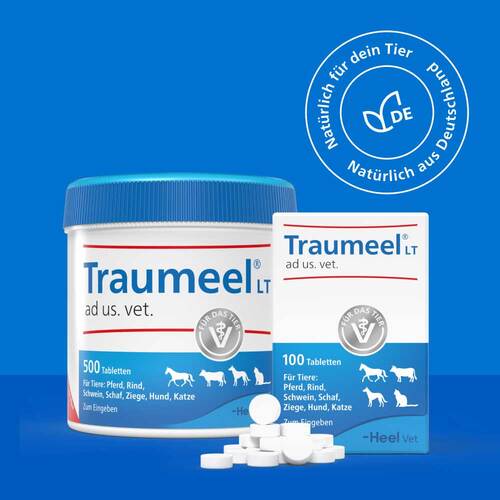 Traumeel LT ad us.vet.Tabletten - 6