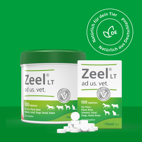 Zeel LT ad us.vet.Tabletten - 6