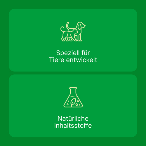 Zeel LT ad us.vet.Tabletten - 4