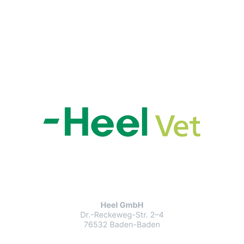 Zeel LT ad us.vet.Tabletten - 7