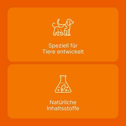 Coenzyme Compositum ad us.vet.Ampullen - 5