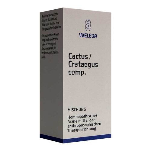 Cactus / Crataegus comp.Mischung - 1